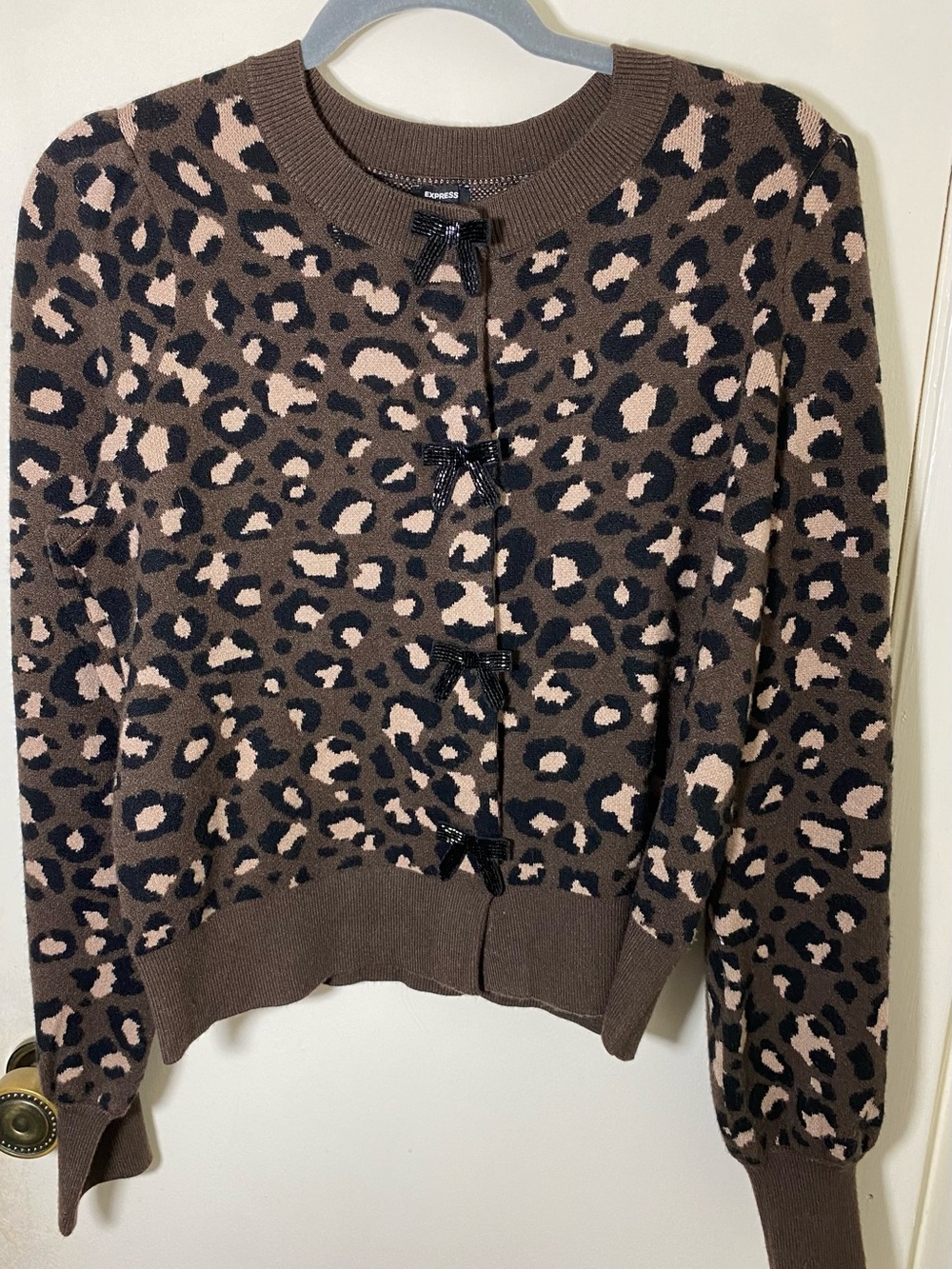 Express Brown Leopard Print Cardigan